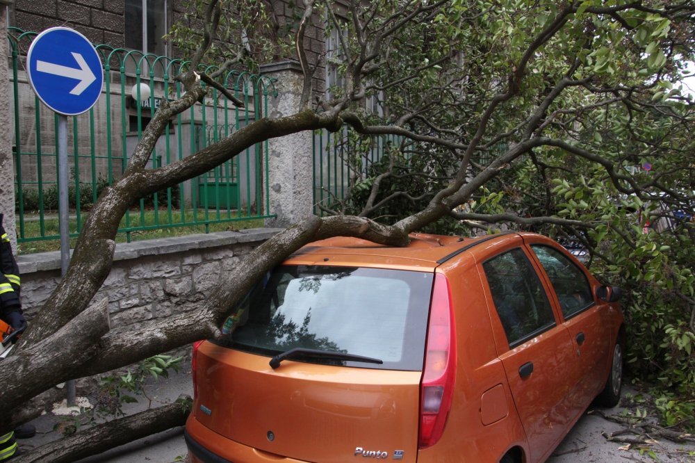 Naplata štete uzrokovane padom stabla ili grane na vozilo